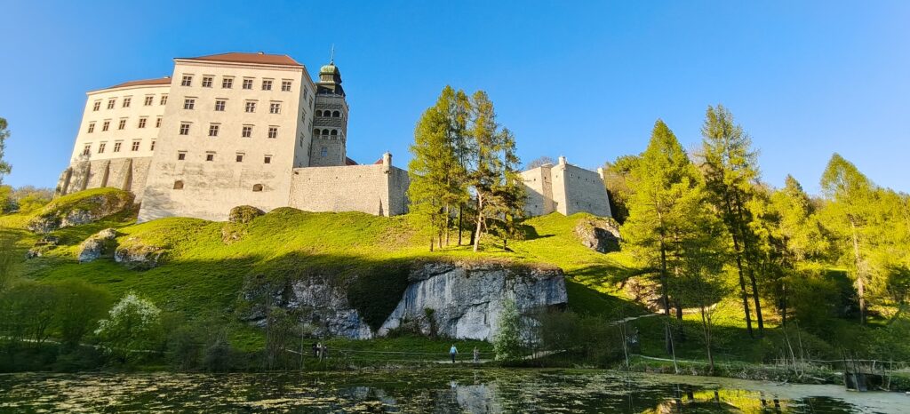Perły Orlich Gniazd