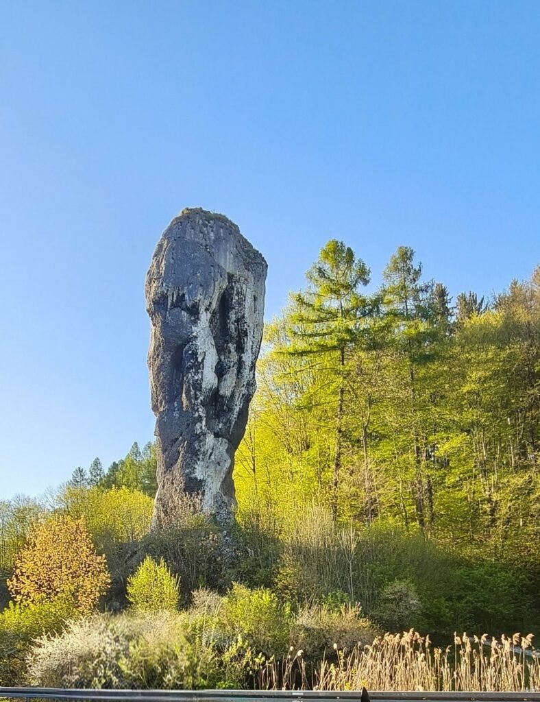 Perły Orlich Gniazd
