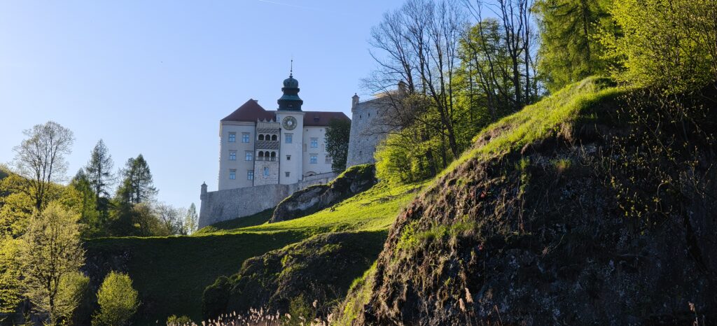 Perły Orlich Gniazd