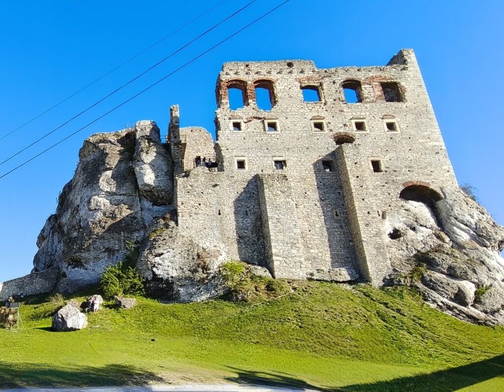 Perły Orlich Gniazd