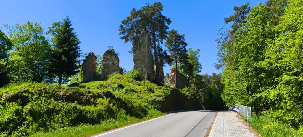 Szlakiem historii – zamki pogórza oraz Sądecczyzny
